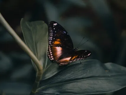 Shadow Work For Accepting Change