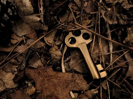 Shadow Work For Racial Justice - Insight Timer Live