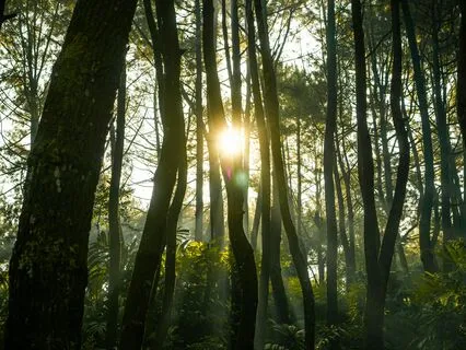 Shadow Work Meditation