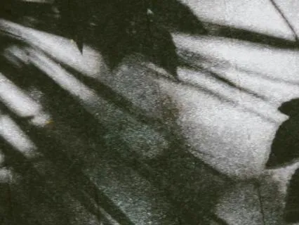 Shadow Work — What Lives In The Dark