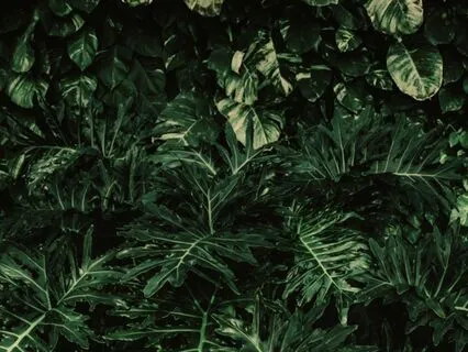 Shake, Breathe, & Ground Back Into Your Peace