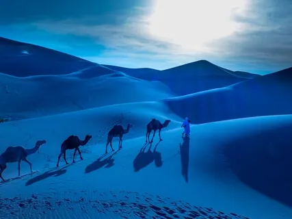 Day 6: Shakuhachi Music For Sleeping