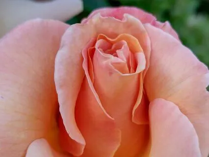 Shaltazar Oracle Card - No 40 - The Power Of Choice