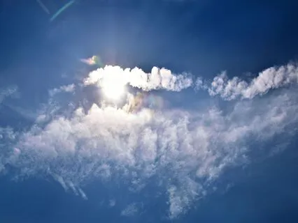 Shaltazar Wisdom Infusion: Easing The Anxiety Of The Unknown