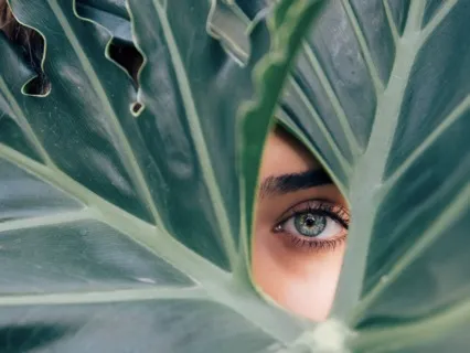 Shaman Journey One - 10 Mins