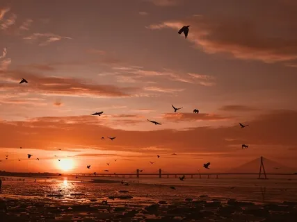 Shamanic Anxiety Relief | Tribal Sounds Journey