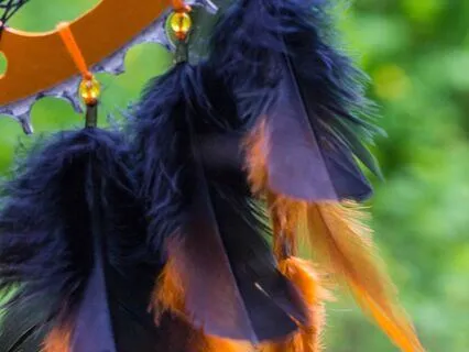 Shamanic Ceremony  - Clear Your Energy & Raise Vibration