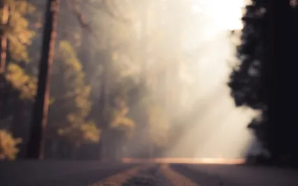 Shamanic Chakra Alignment Journey