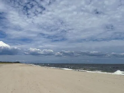 Shamanic Drum Journey: Horse Rhythm For Spiritual Travel