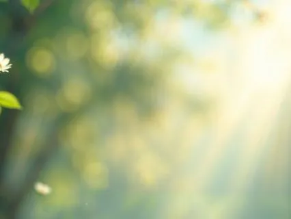 Shamanic Drum Journey To Your Place Of Safety