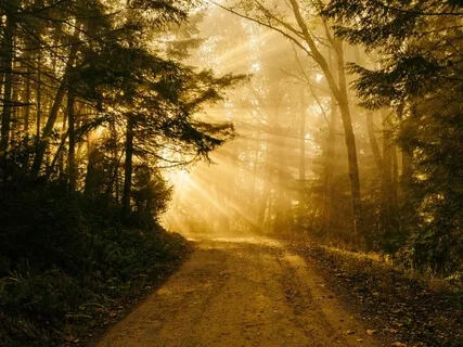 Shamanic Drum Journey With Call Back