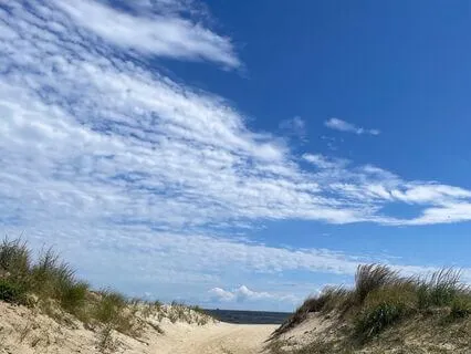 Shamanic Drum: Sound Healing And Spiritual Clearing (10 Min)