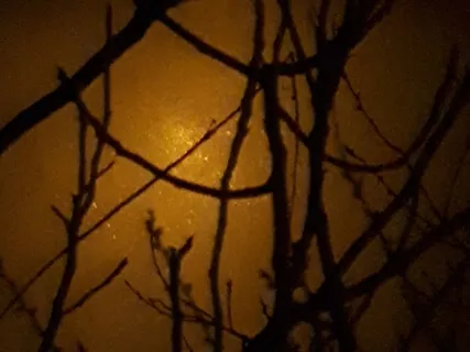 (Shamanic Drums) Dream Sorcerer