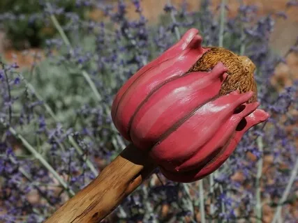 (Shamanic Drums) Prom Around Fire