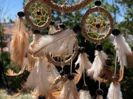 Shamanic Guided Meditation - Let Go & Be Free