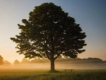 Shamanic Inspired Meditation For Stress And Relaxation