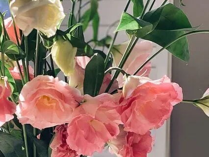 Shamanic Journey - Ground To Receive