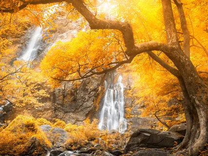 Deep Inner Journey For Courage (Live Sound Recording With Maori Medicine Woman Whaia)