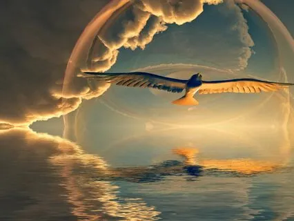 Shamanic Journey To Meet A Power Animal