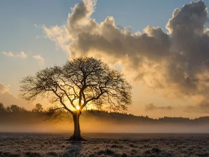 Shamanic Journey To Meet Your Higher Self