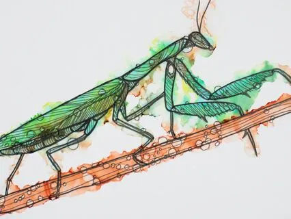 Shamanic Journey To Meet Your Inner Jupiter Expression