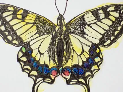 Shamanic Journey To Meet Your Inner Uranus Expression