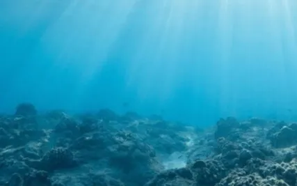 Shamanic Journey - Water Element