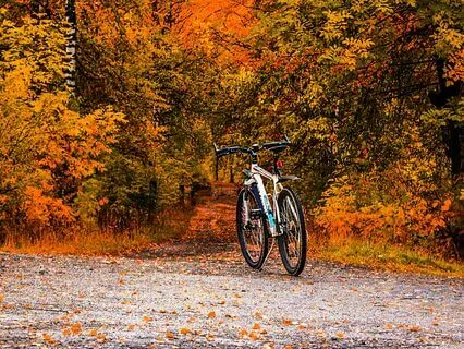 Shamanic Meditation Native American Flute