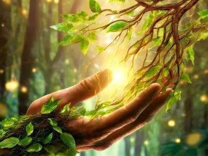 Shamanic Release - Sound Healing Music