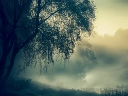 Shamanic Rhythmic Drum Journey