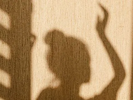 Shamanic Shadow Journey