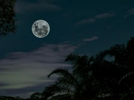 Shamanic Sonnets - Elemental Magic Awakened