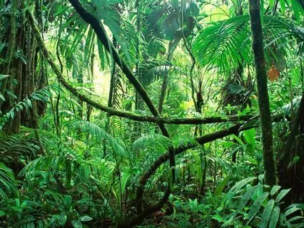 Shamanic Tech-Trance In 174 & 852 Hz With Theta Flow