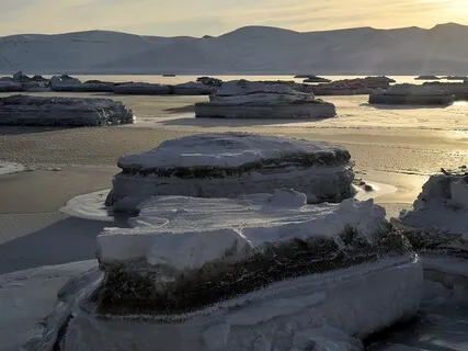 Shamanic Trance Number 1