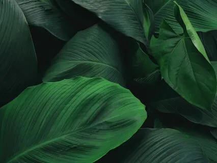 Shamanic Tribal Drumming - 432 Hz Grounding Meditation