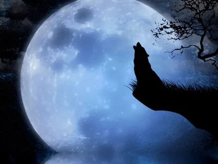 Shamanic Wolf Moon Meditation