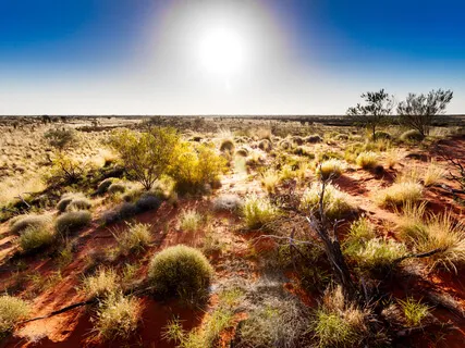 Shaman's Journey (Extended)