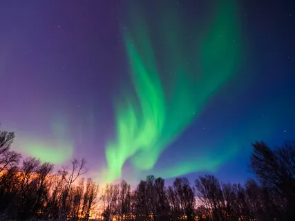 Shaman's Lucid Dream