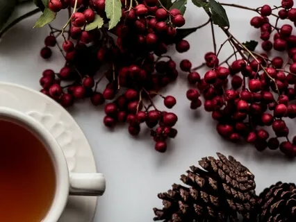 Shaman's Tea In The Jungle - No Music