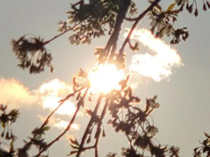 Shamaste Morning Breathwork