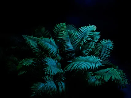 Shamatha (Shavasana)