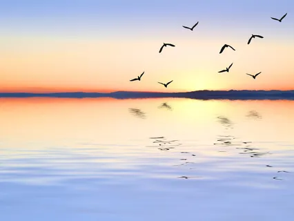 Shambo Kumara - Song To Ganesha