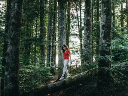 Shannon Harvey - A Year Of Living Mindfully 