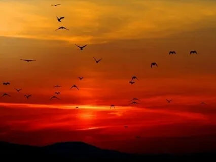 Shanti Paath - The Peace Prayer