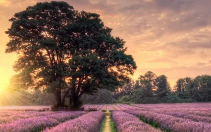 Shanti Path - 9 Rounds