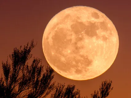 Shift Into Your Future