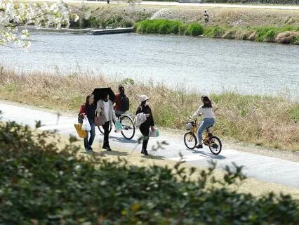 Shapeshifting Your Physical Body - Meditation