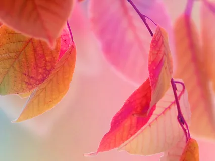 Shaping Love (528Hz - Insight Piano Meditation, Session 3)