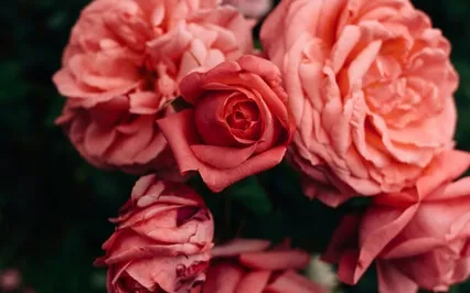 “Шар Любви”. Для Активации Женственности