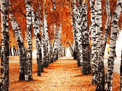 Share Yourself With The World, Even If You Aren't Perfectly Polished